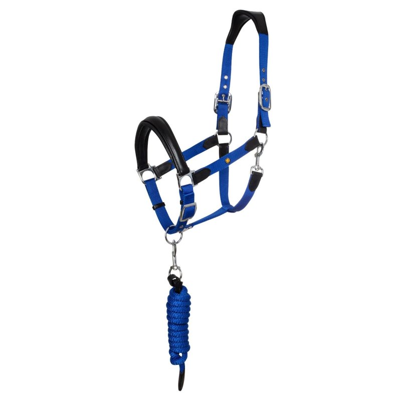 Equestro Cavezza ergonomica con inserti in cuoio - Nero/Blu royal