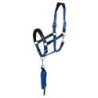 Equestro Cavezza ergonomica con inserti in cuoio - Nero/Blu royal