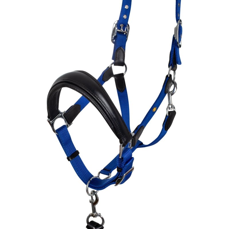 Equestro Cavezza ergonomica con inserti in cuoio - Nero/Blu royal