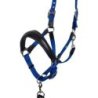 Equestro Cavezza ergonomica con inserti in cuoio - Nero/Blu royal
