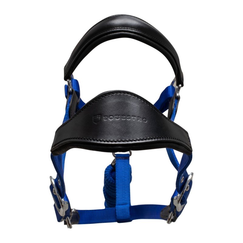 Equestro Cavezza ergonomica con inserti in cuoio - Nero/Blu royal
