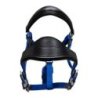 Equestro Cavezza ergonomica con inserti in cuoio - Nero/Blu royal