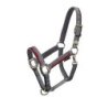 Equestro Cavezza con doppia regolazione - Grigio/Rosso/Nero