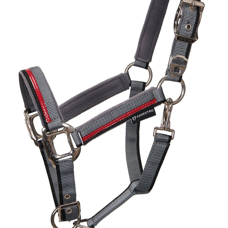 Equestro Cavezza con doppia regolazione - Grigio/Rosso/Nero