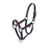 Equestro Cavezza con doppia regolazione - Blu navy/Rosso/Grigio