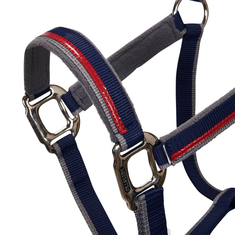 Equestro Cavezza con doppia regolazione - Blu navy/Rosso/Grigio