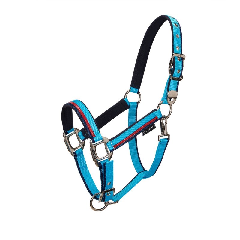 Equestro Cavezza con doppia regolazione - Turchese/Rosso/Blu navy