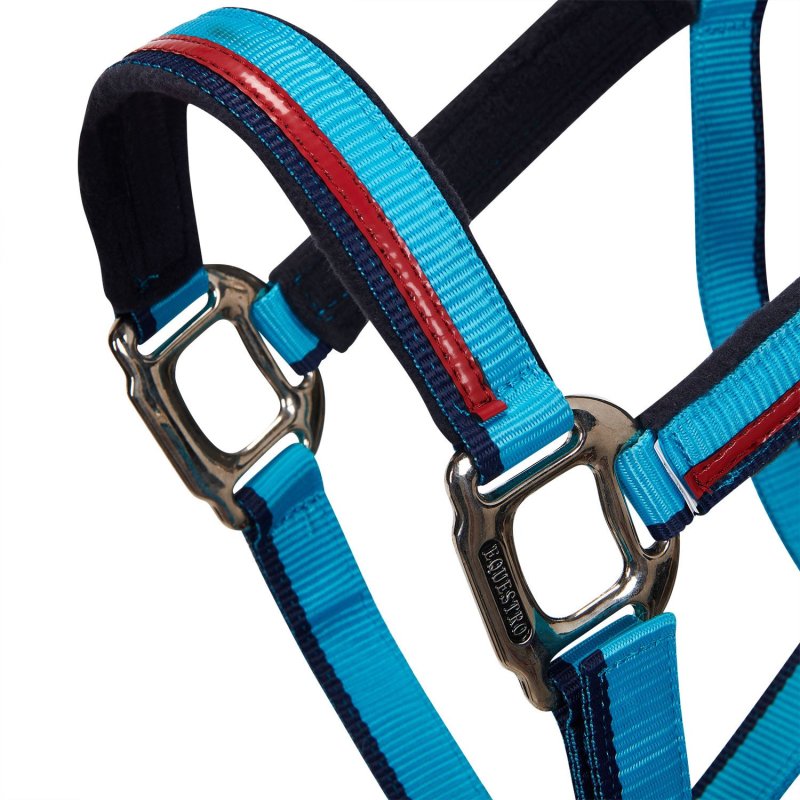 Equestro Cavezza con doppia regolazione - Turchese/Rosso/Blu navy