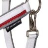 Equestro Cavezza con doppia regolazione - Bianco/Rosso/Grigio