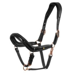 Equestro Cavezza cuoio lucido fibbie rose gold - Nero