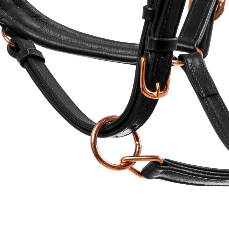 Equestro Cavezza cuoio lucido fibbie rose gold - Nero