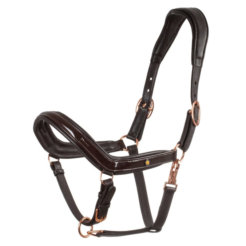 Equestro Cavezza cuoio lucido fibbie rose gold - Testa di moro