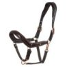 Equestro Cavezza cuoio lucido fibbie rose gold - Testa di moro
