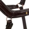 Equestro Cavezza cuoio lucido fibbie rose gold - Testa di moro
