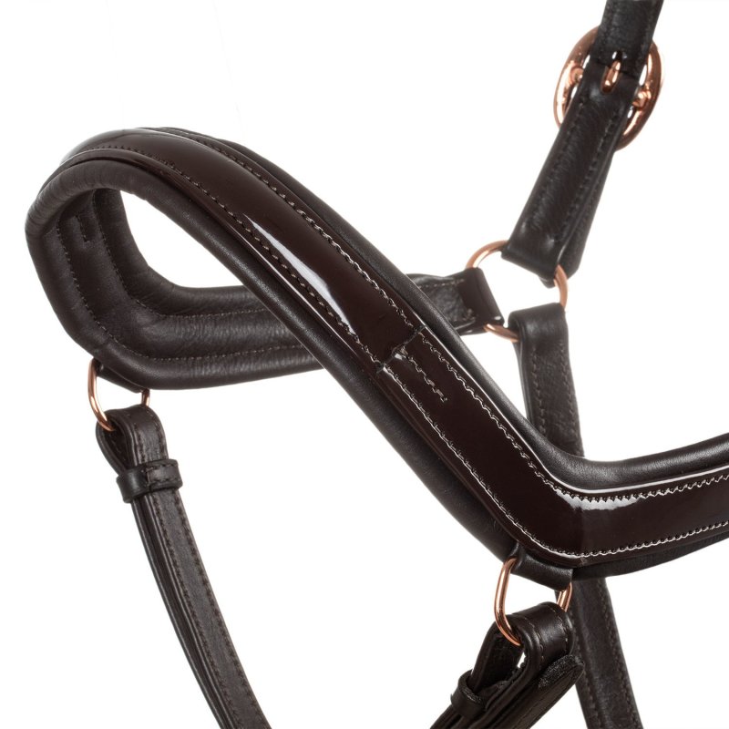 Equestro Cavezza cuoio lucido fibbie rose gold - Testa di moro