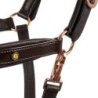 Equestro Cavezza cuoio lucido fibbie rose gold - Testa di moro