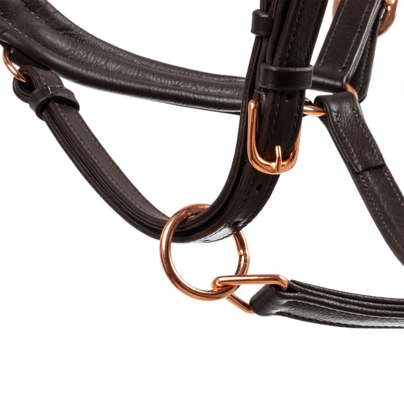 Equestro Cavezza cuoio lucido fibbie rose gold - Testa di moro