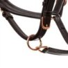 Equestro Cavezza cuoio lucido fibbie rose gold - Testa di moro