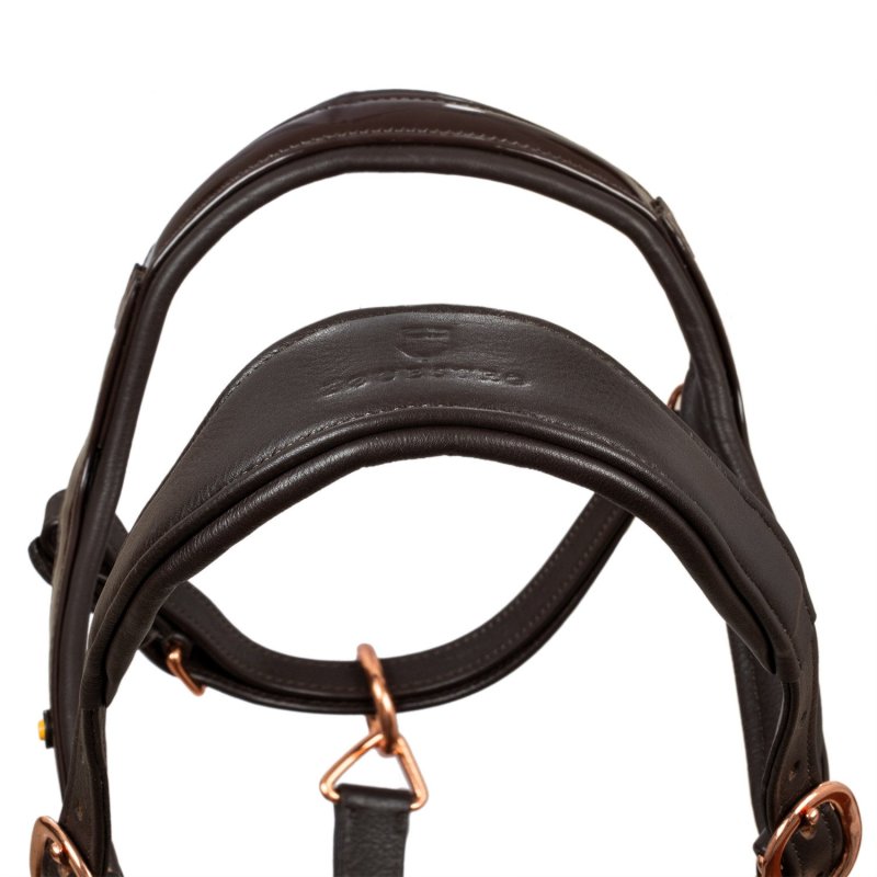 Equestro Cavezza cuoio lucido fibbie rose gold - Testa di moro