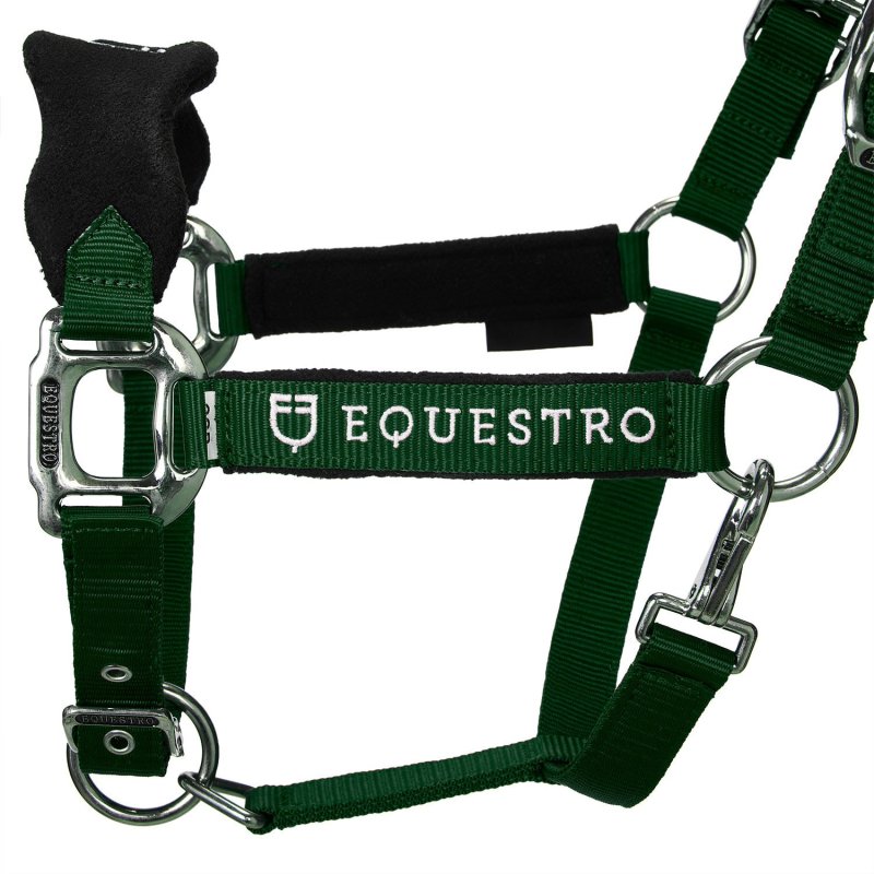 Equestro Cavezza doppia regolazione lunghina coordinata - Verde
