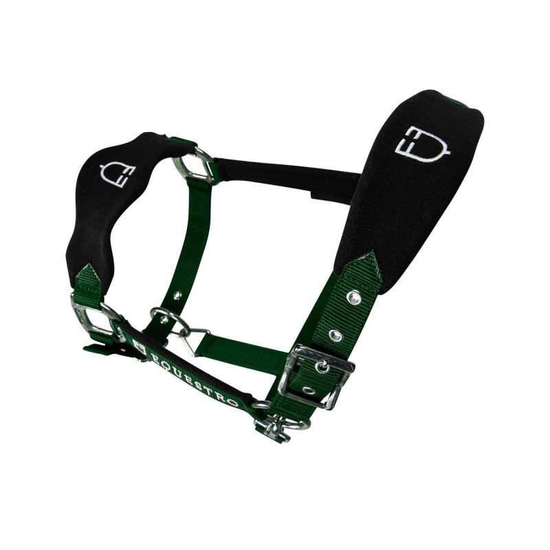 Equestro Cavezza doppia regolazione lunghina coordinata - Verde