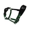 Equestro Cavezza doppia regolazione lunghina coordinata - Verde