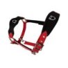 Equestro Cavezza doppia regolazione lunghina coordinata - Rosso
