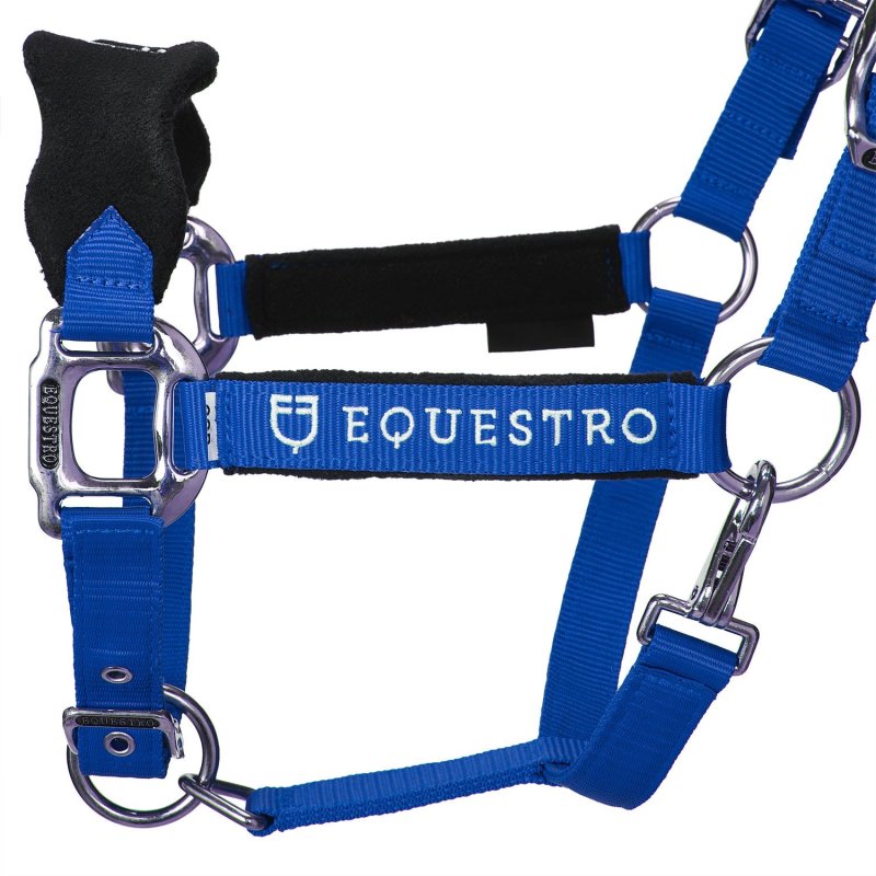 Equestro Cavezza doppia regolazione lunghina coordinata - Blu royal