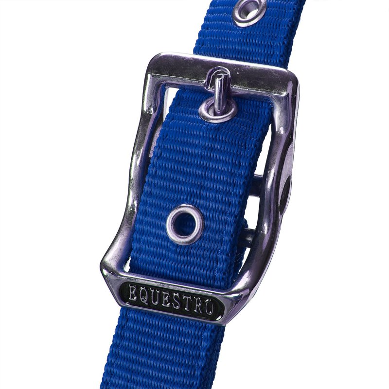 Equestro Cavezza doppia regolazione lunghina coordinata - Blu royal