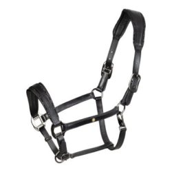 Equestro Cavezza in cuoio con piping glitterato Nero