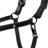 Equestro Cavezza in cuoio con piping glitterato Nero