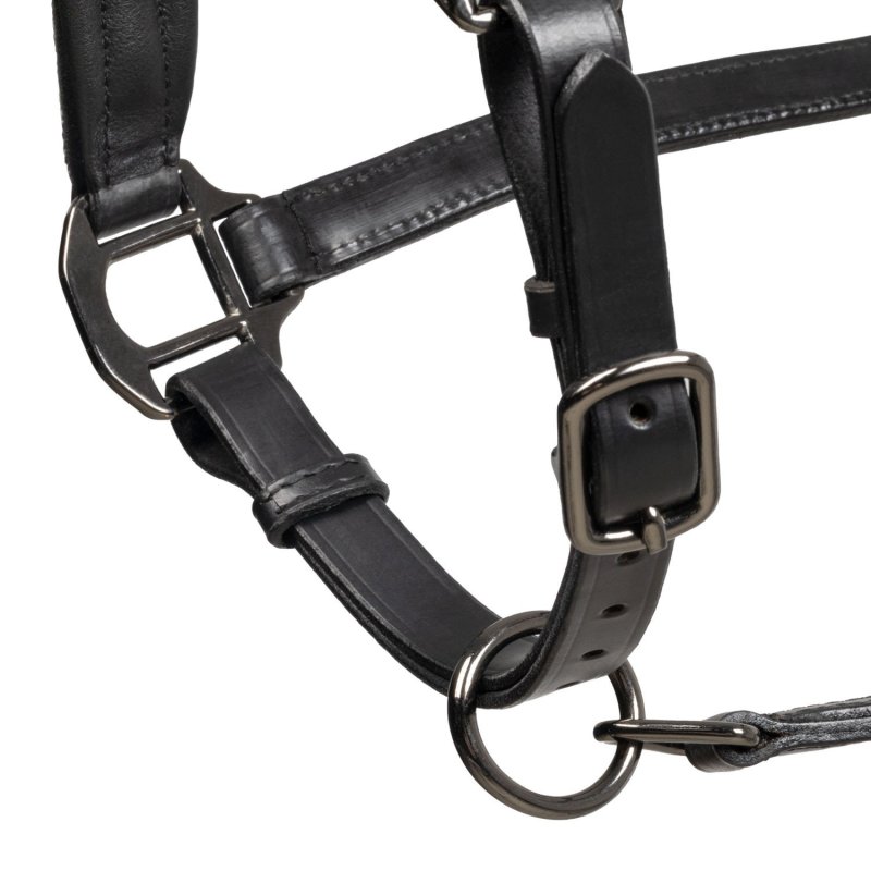 Equestro Cavezza in cuoio con piping glitterato Nero