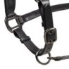 Equestro Cavezza in cuoio con piping glitterato Nero