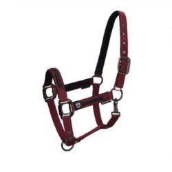 Equestro Cavezza in pile resistente - Bordeaux