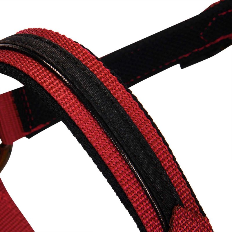 Equestro Cavezza in pile resistente - Rosso