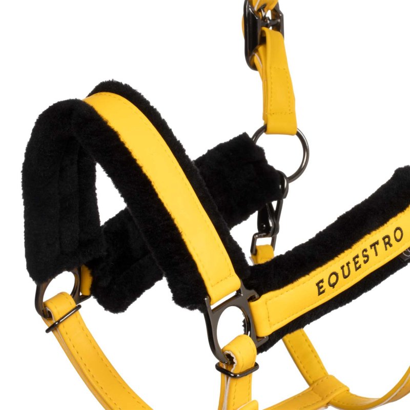 Equestro Cavezza con imbottitura in montone sintetico - Giallo