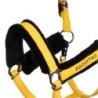Equestro Cavezza con imbottitura in montone sintetico - Giallo