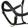 Supreme Cavezza anatomica in cuoio modello Swedish - Nero
