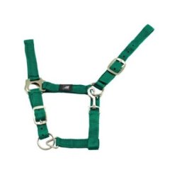Supreme Cavezza nylon doppia regolazione - Grass Green