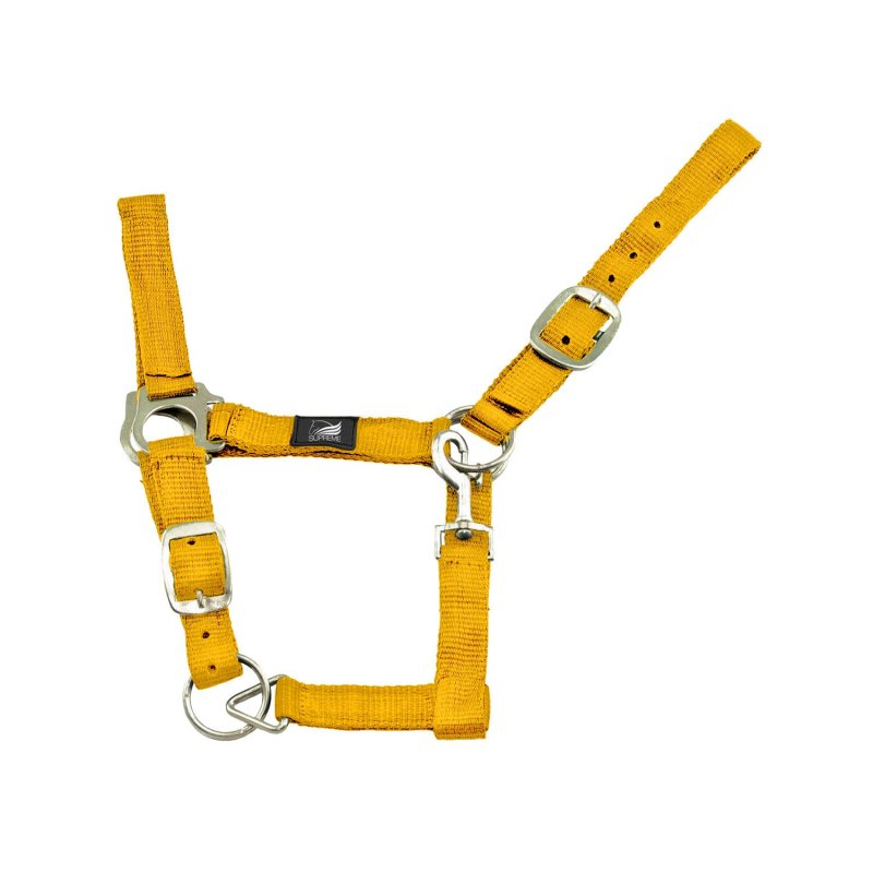 Supreme Cavezza nylon doppia regolazione - Giallo