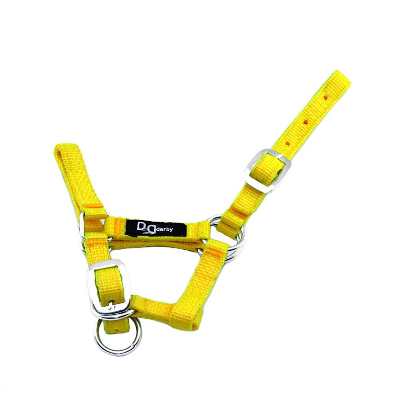 Supreme Cavezza puledro doppia regolazione - Giallo