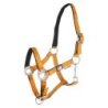 Supreme Cavezza puledro imbottita Soft Touch - Arancione