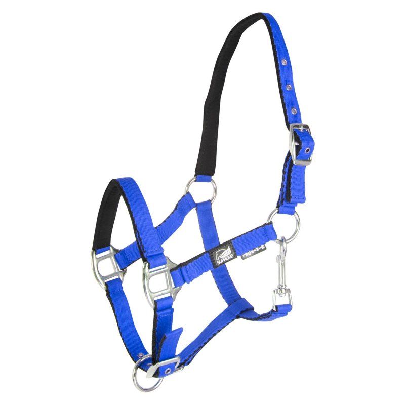 Supreme Cavezza puledro imbottita Soft Touch - Blu royal