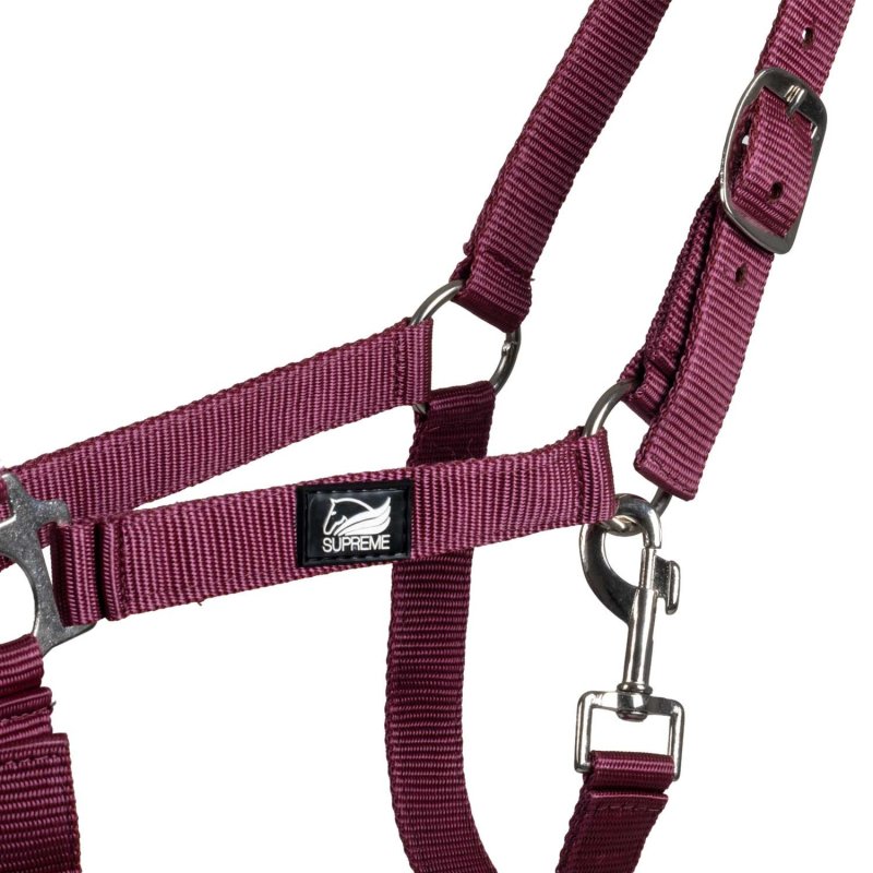 Supreme Cavezza puledro regolabile e moschettone - Bordeaux