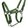 Supreme Cavezza puledro regolabile e moschettone - Grass Green