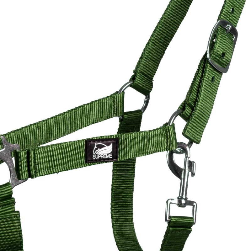 Supreme Cavezza puledro regolabile e moschettone - Grass Green