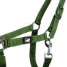 Supreme Cavezza puledro regolabile e moschettone - Grass Green