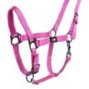 Supreme Cavezza puledro regolabile e moschettone - Rosa