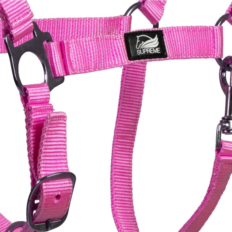 Supreme Cavezza puledro regolabile e moschettone - Rosa