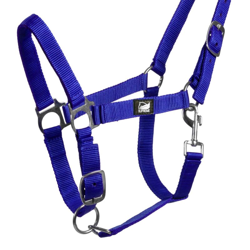 Supreme Cavezza puledro regolabile e moschettone - Blu royal